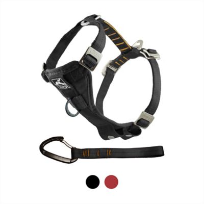 Kurgo Tru-Fit Enhanced Strength Dog Harness - Crash Tested Car Safety Harness for Dogs Best harness