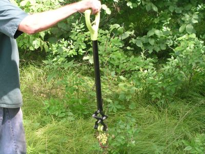 Image showing  Handy Grubber Brush and Tree Remover with Extended Reach BG-14