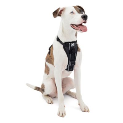 Kurgo Tru-Fit Smart Harness, Dog Harness, Pet Walking Harness, Quick Release Buckles