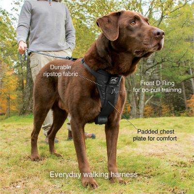 Fit Into Everyway Harnais pour chien 