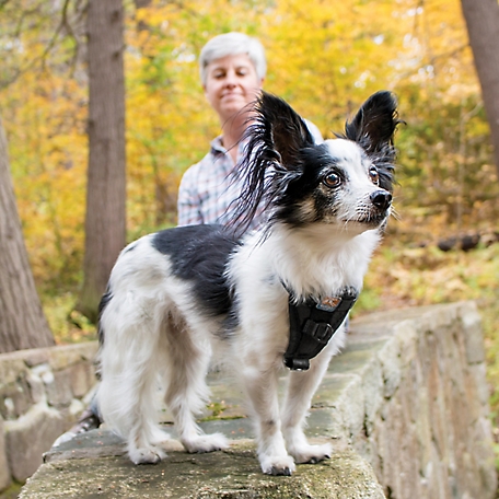 Kurgo Tru-Fit Smart Harness, Dog Harness, Pet Walking Harness