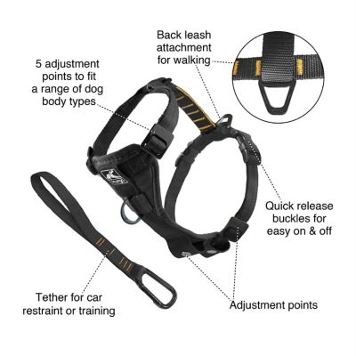 Image showing 1 th Kurgo Tru-Fit Smart Dog Harness with Quick-Release Buckles
