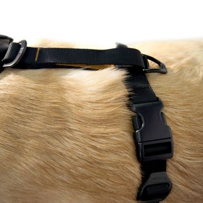 Image showing 3 th Kurgo Tru-Fit Smart Dog Harness with Quick-Release Buckles