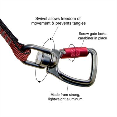Image showing  Dog Swivel Tether, Red