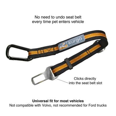 Image showing  Direct to Seatbelt Tether for Dogs