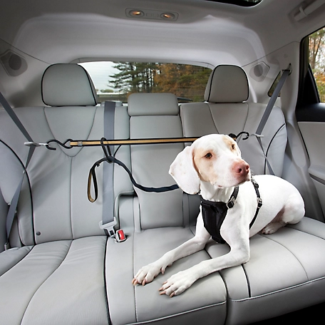 Kurgo Auto Zip Line Dog Restraint System