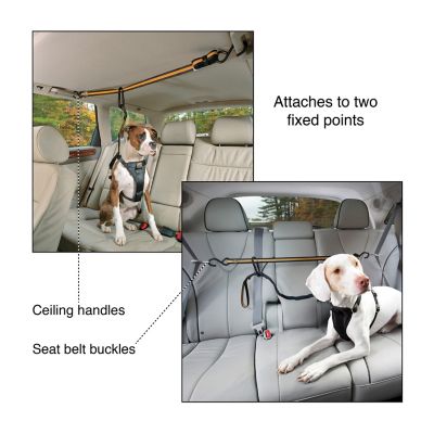 Image showing  Auto Zip Line Dog Restraint System