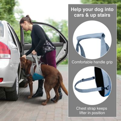 Image showing  Up & About Dog Lifter Harness, Medium