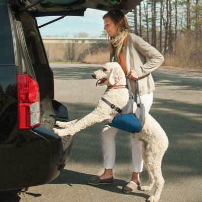 Image showing  Up & About Dog Lifter Harness, Medium