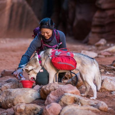Image showing 4 th Kurgo Baxter Dog Backpack