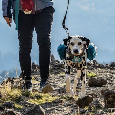 Image showing  Baxter Dog Backpack