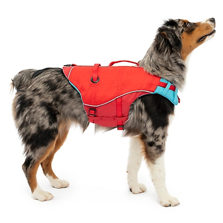 Kurgo Surf N Turf Dog Life Jacket