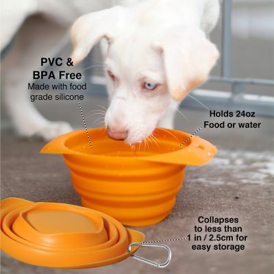 Image showing  Collaps-a-Bowl Pet Bowl, 24 oz., Blue