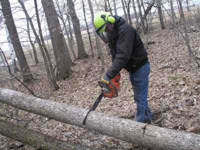 Image showing  Safety Face Gear Ear and Sound Protectors TMW-09
