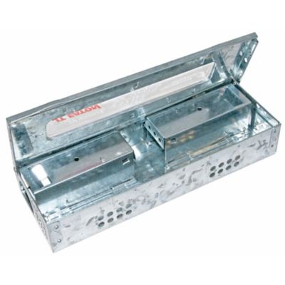 Image showing  Little Pete Slim Multiple Catch Mouse Trap with Clear Window