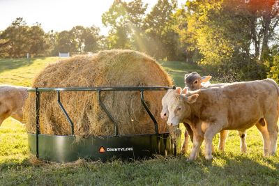 Image showing  1 Round Sheeted Bale Steel Livestock Feeder, 8 ft. x 45 in.