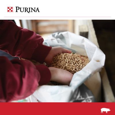 Image showing 5 th Purina Nature's Match Pig Starter-Grower Swine Feed, 50 lb. Bag