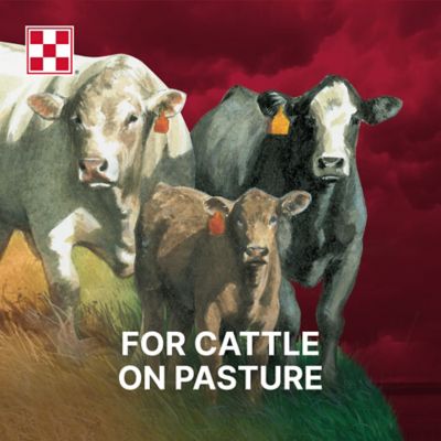 Image showing  Wind and Rain All Season 7 Complete Beef Cattle Mineral with Availa 4, 50 lb. Bag