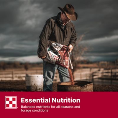 Image showing 5 th Purina Wind and Rain All Season 7 Complete Beef Cattle Mineral with Availa 4, 50 lb. Bag