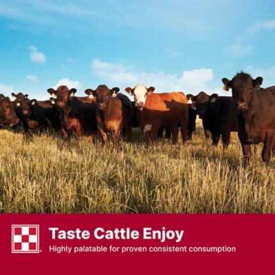 Image showing 6 th Purina Wind and Rain All Season 7 Complete Beef Cattle Mineral with Availa 4, 50 lb. Bag