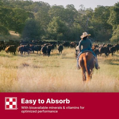 Image showing 7 th Purina Wind and Rain All Season 7 Complete Beef Cattle Mineral with Availa 4, 50 lb. Bag