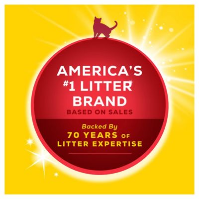 Image showing 8 th Purina Tidy Cats 4-in-1 Strength Scented Clumping Clay Cat Litter, Multi-Cat