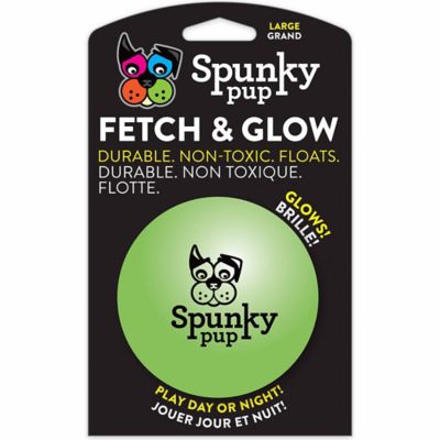 spunky pup fetch and glow