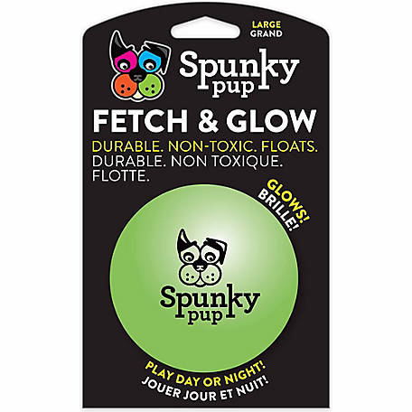 Spunky Pup Fetch and Glow Ball Dog Toy