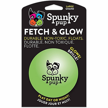 Spunky Pup Fetch and Glow Ball Dog Toy