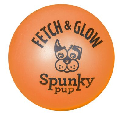 Image showing  Fetch and Glow Ball Dog Toy