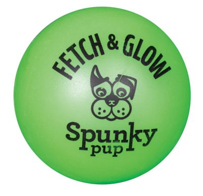 Image showing  Fetch and Glow Ball Dog Toy