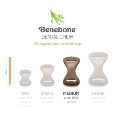 Image showing  Medium Bacon Flavor Dental Dog Chew Toy