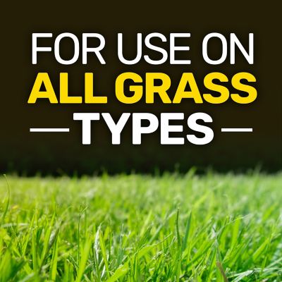 Image showing  43 lb. 15,000 sq. ft. 29-0-5 Lawn Food Fertilizer