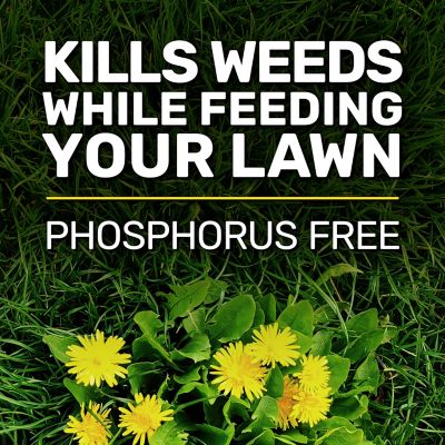 Image showing  40 lb. 15,000 sq. ft. Northern Weed and Feed Lawn Fertilizer