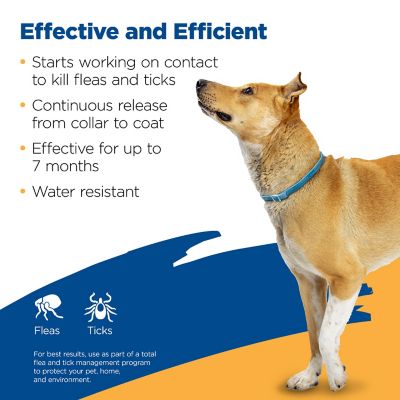 Image showing  Flea and Tick Collar for Large Dogs and Puppies, 7 Months Protection