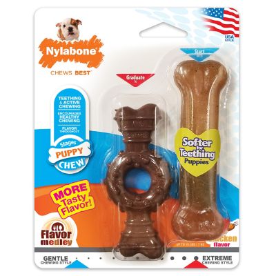 Nylabone Power Chew Ring Bone and Puppy Chew Bone, Petite