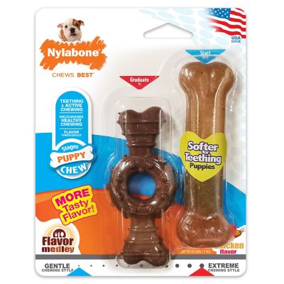 Nylabone Power Chew Ring Bone & Puppy Chew Bone Dog Toy, Petite