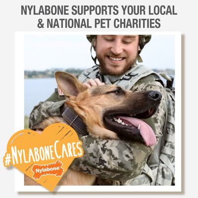 Image showing 6 th Nylabone Power Chew Ring Bone and Puppy Chew Bone, Petite