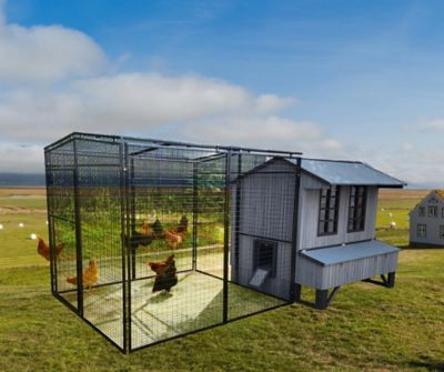 Image showing  Universal Walk-In Chicken Pen