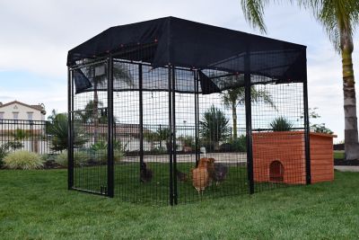 Image showing 5 th Rugged Ranch Universal Walk-In Chicken Pen