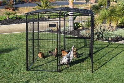 Image showing 6 th Rugged Ranch Universal Walk-In Chicken Pen