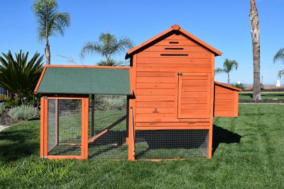 Rugged Ranch Raised Wood Chicken Coop, 4 to 6 Chicken Capacity