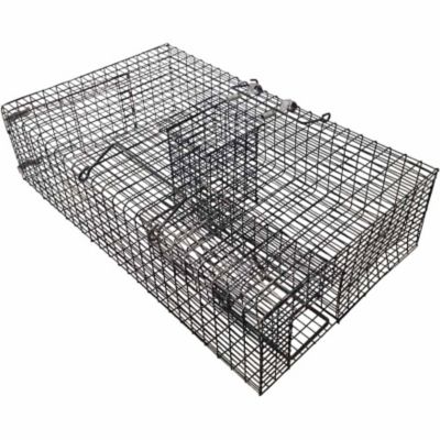 Rugged Ranch Rattr Ratinator Live Rat Squirrel Chipmunk Metal 2 Door Trap Cage