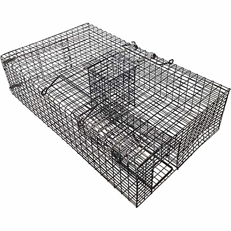 Buy Multi Catch Rat Cage Trap from Fane Valley Stores Agricultural Supplies