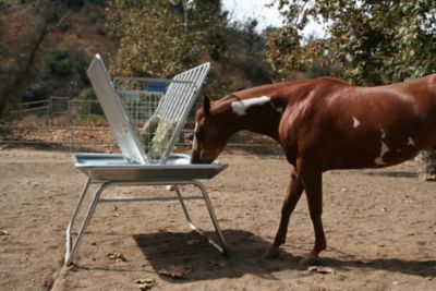 Image showing  Galvanized Pasture Livestock Feeder, 5 ft.