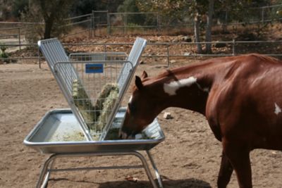 Image showing  Galvanized Pasture Livestock Feeder, 5 ft.