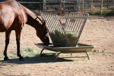 Image showing 5 th Rugged Ranch Galvanized Pasture Livestock Feeder, 5 ft.