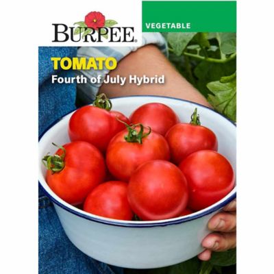 Burpee Tomato Fourth Of July Hybrid