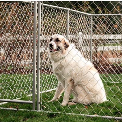 Image showing  4 ft. x 5 ft. x 10 ft. Galvanized Chain Link Dog Kennel Kit