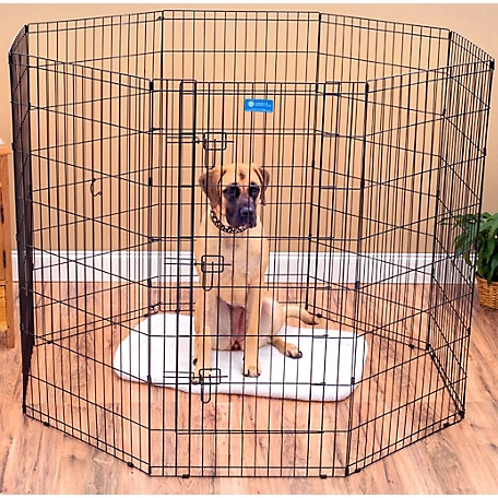 Lucky Dog 48 in. Exercise Pen with Stakes